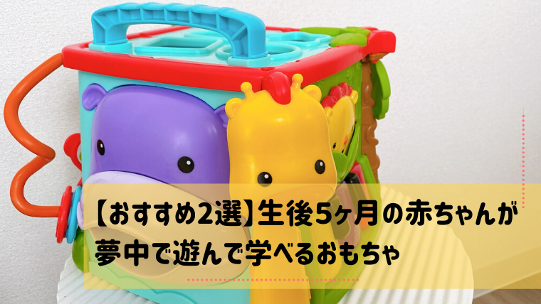 おすすめ2選 生後５ヶ月の赤ちゃんが夢中で遊んで学べるおもちゃ ゆず家の気楽な育児ブログ